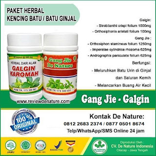  Jual Obat Batu Ginjal De Nature Asli Di Karangmalang Kabupaten Sragen