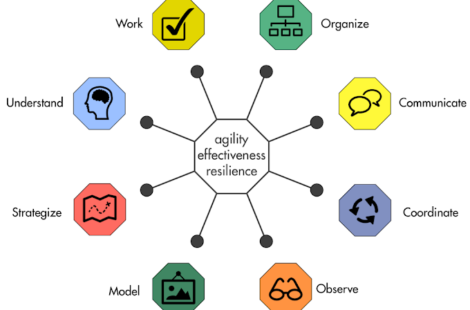 Organizational Effectiveness, Agility and Resilience