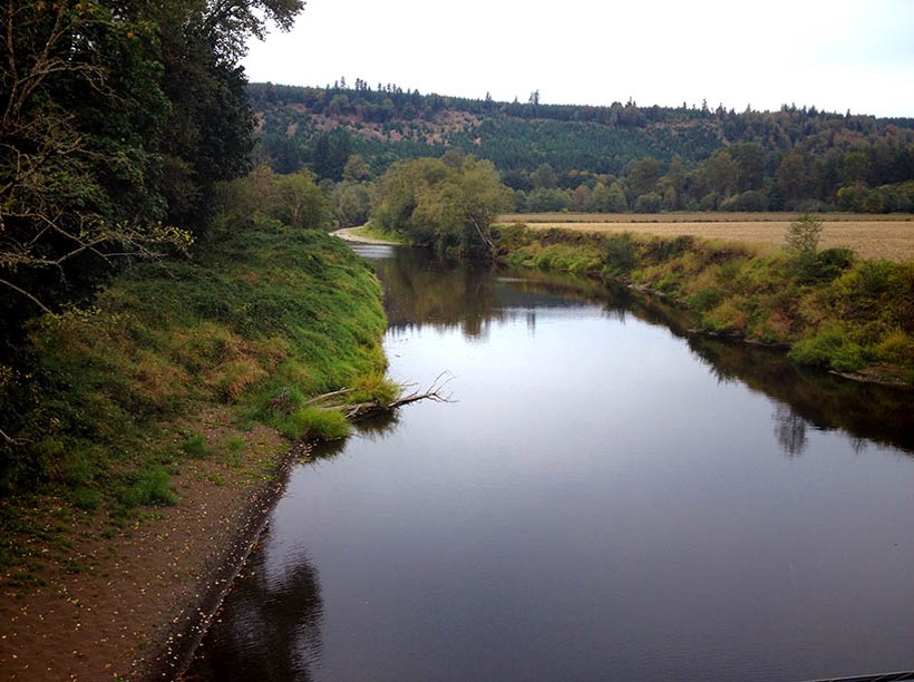 Washington Department of Ecology Water curtailments for the Chehalis