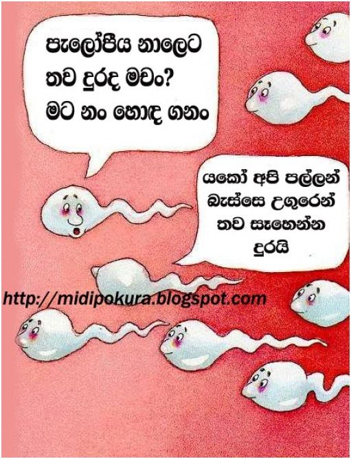 sinhala birthday funny quotes sinhala birthday funny images sinhala