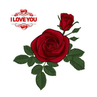 i love you rose wallpaper