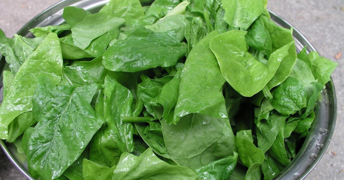 Create the Life You Really Want SHOULD YOU AVOID VITAMIN K IF YOU TAKE