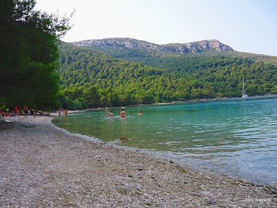 Vucine peljesac