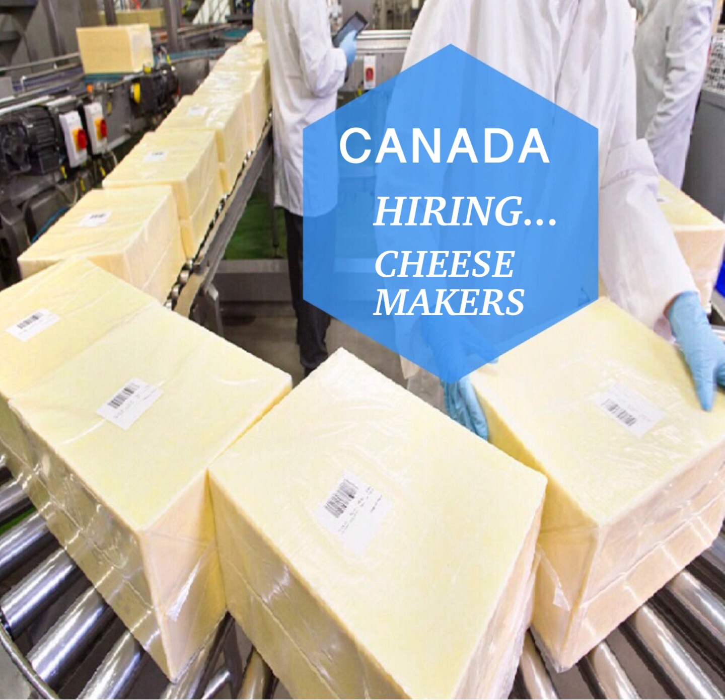 Canada Hiring 5 Cheese Maker PINOY REFRESHER