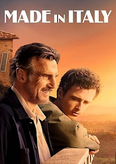 Made in Italy 2020 480p WEB-DL x264