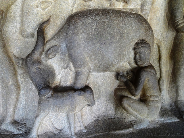 ancient stone carving of milkman- The Krishna Cave Temple, Mahabalipuram
