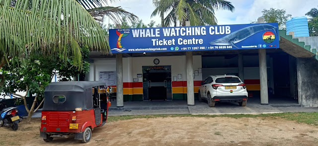 Whale Watching Office