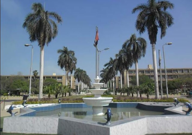 كلية زراعة جامعة عين شمس