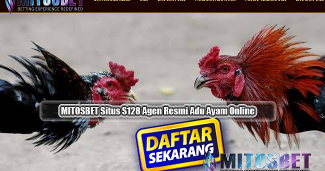 Link Alternatif Sejarah Sabung Ayam Online S128 Terbaik
