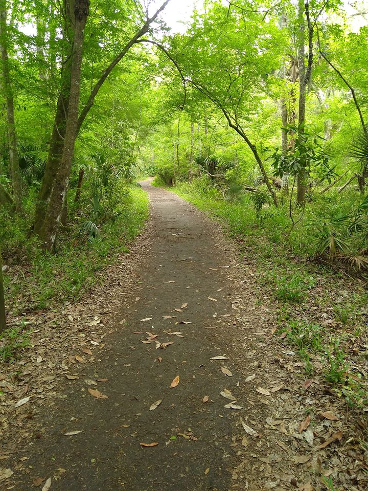 Great American Success Story Off the Beaten Path in Jacksonville