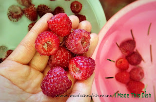 Cách bảo quản đông lạnh Phúc Bồn Tử/Mâm Xôi để sử dụng trái tưới được lâu hơn Freezingberries-imtd10