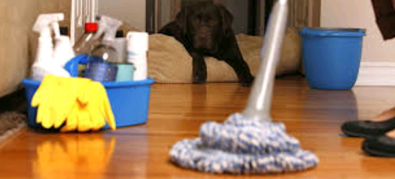 شركة تنظيف بالدمام , شركة تنظيف منازل بالدمام , شركة تنظيف منازل بالاحساء , شركة غسيل منازل بالاحساء , شركة تنظيف منازل بالبخار بالاحساء , شركة تنظيف البيوت بالاحساء , نظافة المنزل المجال سيرفس للتنظيف , افضل شركة تنظيف بالاحساء , شركة تنظيف بالمخواه , شركة مكافحة حشرات بالاحساء , شركة السعر المنافس , المجال للتنظيف , تنظيف البيت بساعه , تنظيف المطبخ بالصور قبل وبعد تنظيف , تنظيف المنزل بالساعات , تنظيف منازل , خدمة التنظيف بالساعة , راحة شركات التنظيف الاحساء , شركة بالاحساء تجفيف الموكيت من الماء , شركة تنظيف منازل بالاحساء , حور الاحساء شركة , غسيل البيوت في الاحساء , شركة ترتيب وتنظيف المنازل بالاحساء , مكتب تنظيف منازل بالاحساء , شركة رسمية لتنظيف المنازل بالاحساء , مؤسسة رسمية لتنظيف المنازل بالاحساء , مين جربت شركات تنظيف المنازل بالاحساء , تجربتي مع شركة تنظيف منازل بالاحساء , كم أسعار شركات تنظيف المنازل بالاحساء , أسعار و أرقام شركات تنظيف المنازل بالاحساء , شركة تنظيف منازل بالاحساء , تنظيف منازل بالاحساء عمالة فليبينية , شركات تنظيف منازل بالاحساء عمالة فليبينية , غسيل سجاد حي الرحيلي , عمالة تنضيف المنزل بساعه , غسيل الشقق , غسيل الموكيت بالبخار , كلمه صغيره عن يومي لتنظيف المنزل