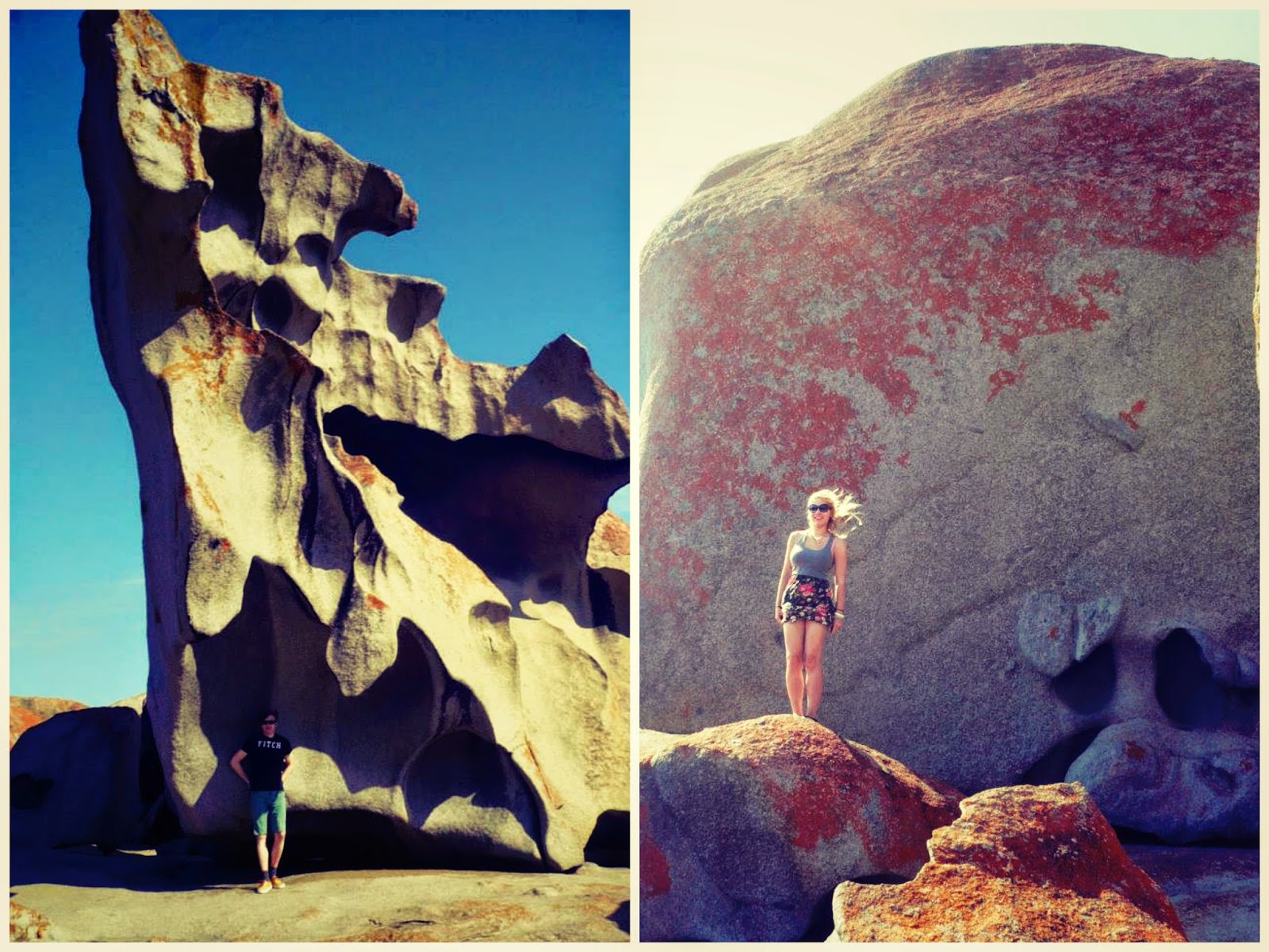 Is Kangaroo Island Worth Visiting? Travelling Weasels