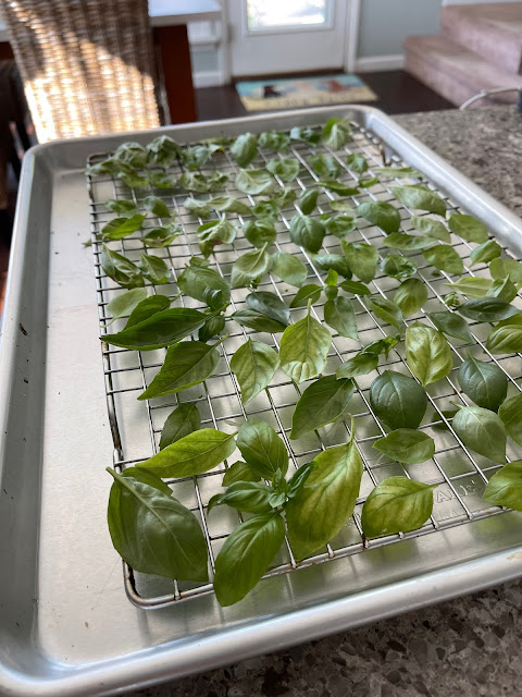 Leaves of fresh basil on a cooking sheet ready to go into the oven