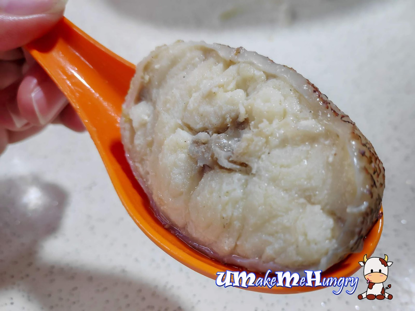 Cross Section of Fish Meat