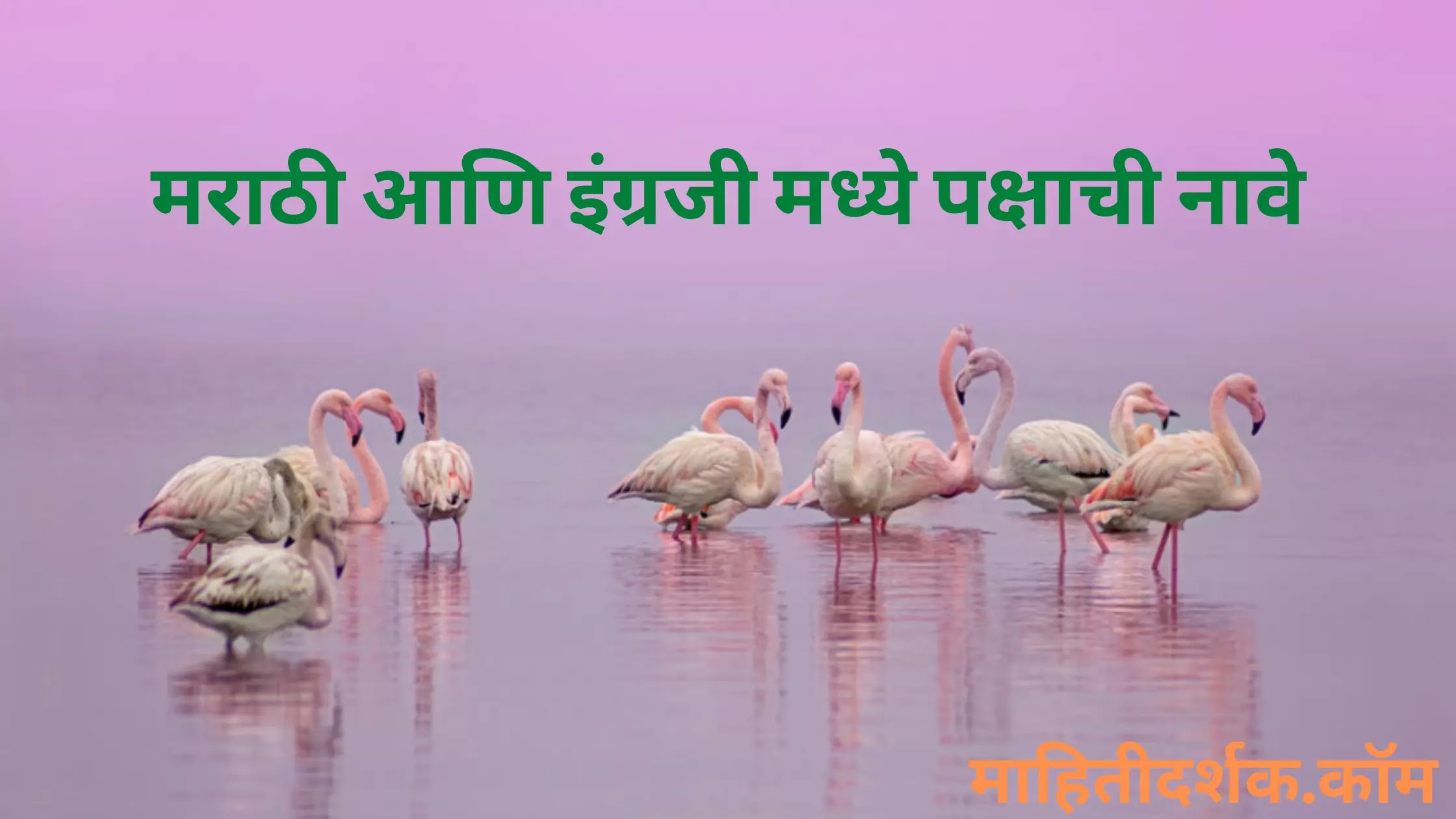 Names of birds in Marathi