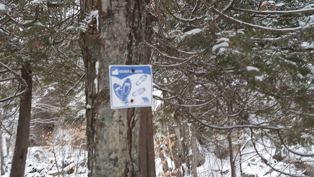 Balise pour le sentier du mont Larose