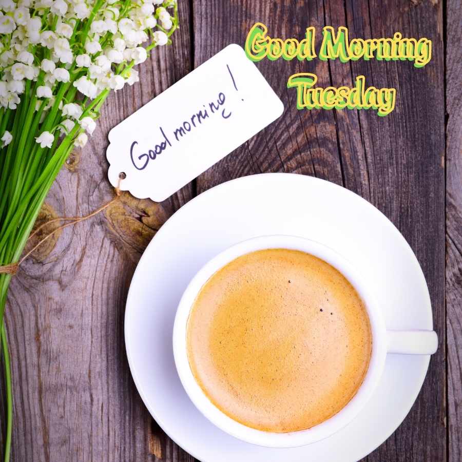 good morning pic tuesday