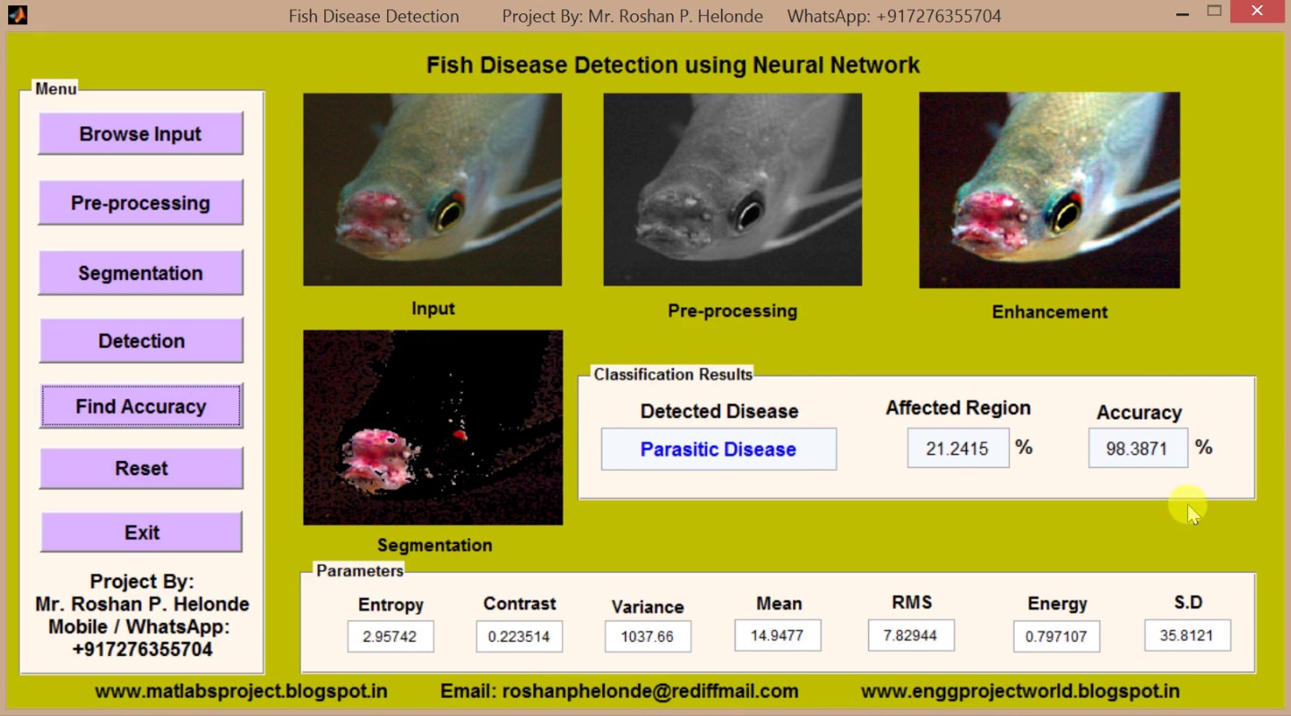 Fish Disease Detection using Neural Network Matlab Project with Source