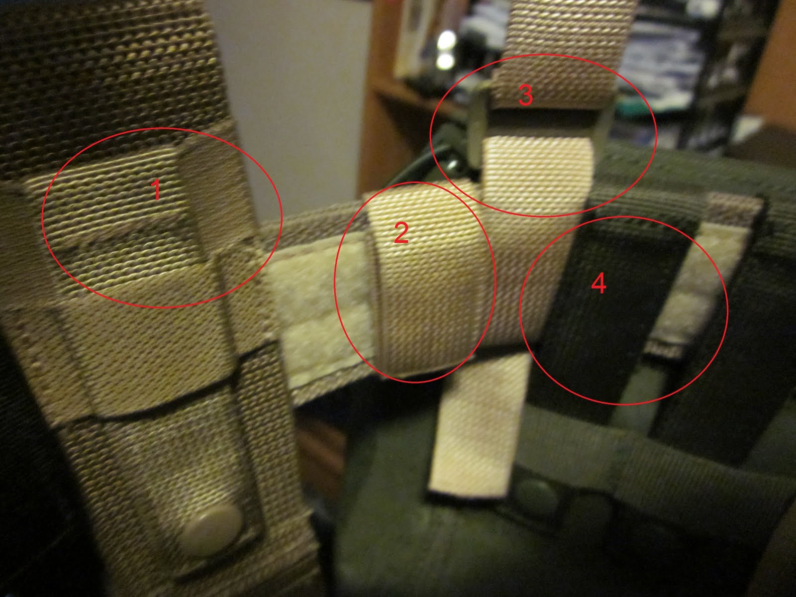 Schrödinger's Blog Gun Belt Setup