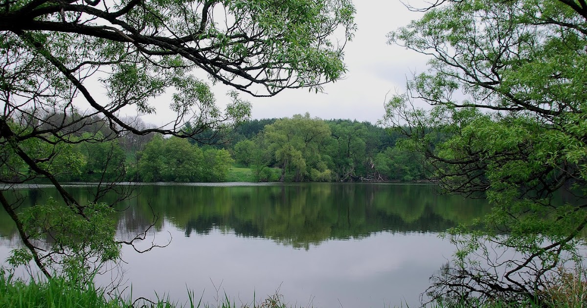 Camera on King & Aurora Beautiful Bell's Lake...