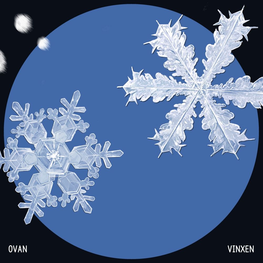 OVAN, VINXEN – Snowflake – Single