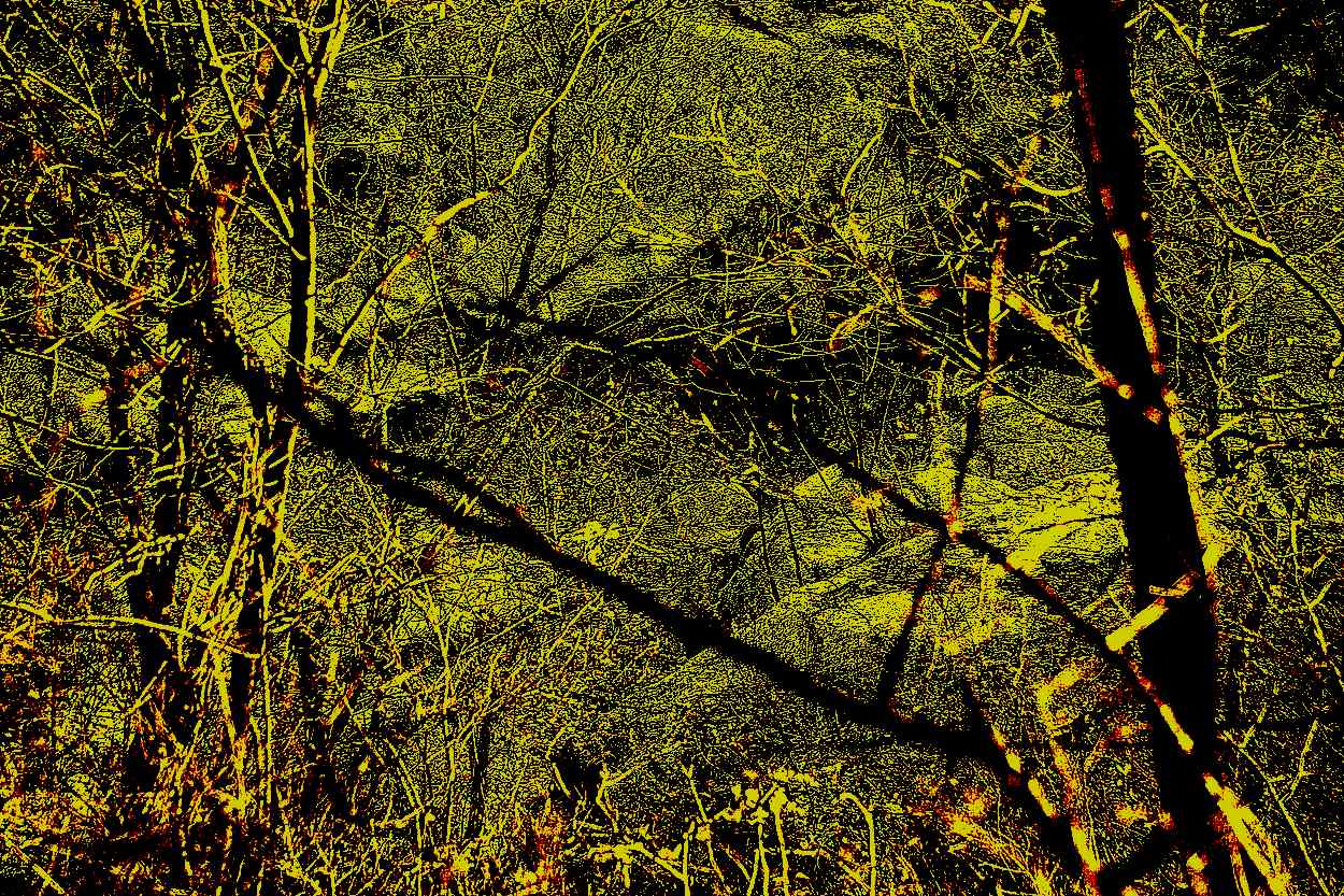 삼각산 도선사 삼각산 도선사