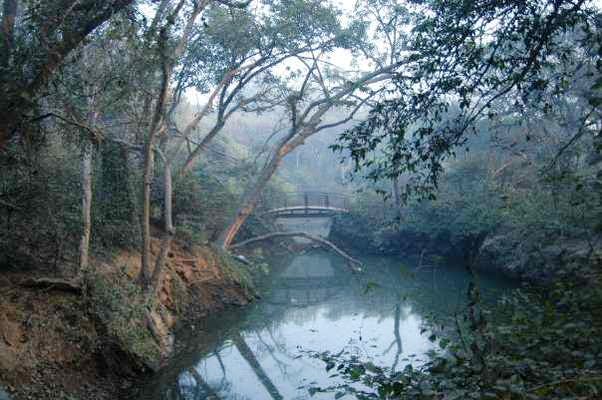 Kamla Nehru Ridge, Delhi