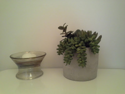 Threshold Mixed Succulent Potted Arrangement