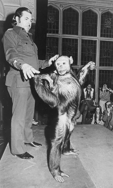 İnsan-Şempanze melezi yapmaya çalışan Rus bilim insanı İlya İvanoviç İvanov. İnsan Şempanze Maymun melezi yapılabilir mi. İnsan Maymun doğurabilir mi