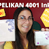 PELIKAN 4001 INK - Resenha (Review)