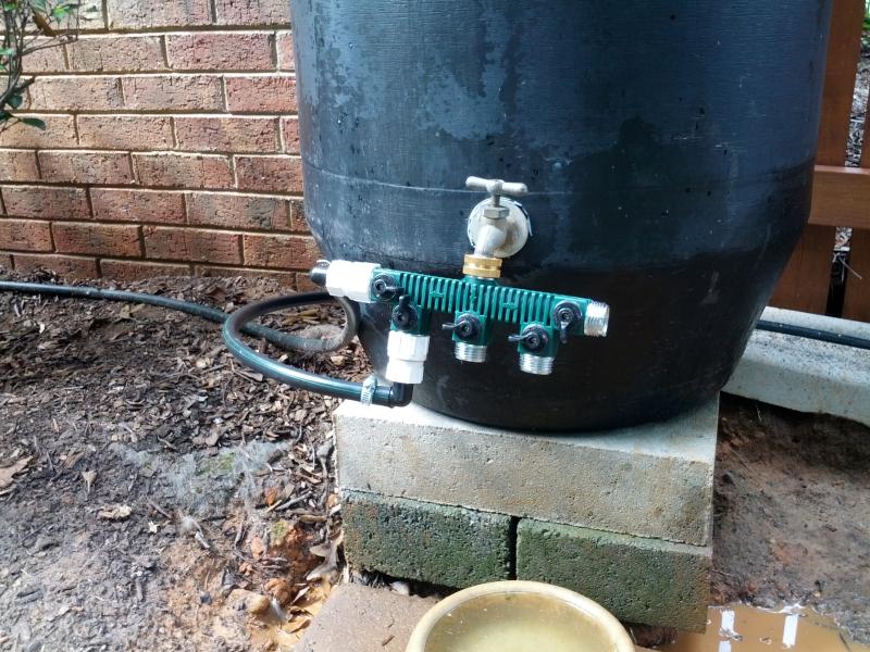 Delete the Nuts: Overflow rain barrels in action.