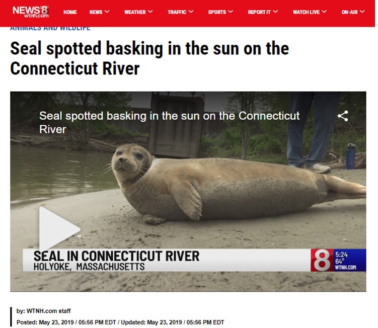 Can Seals Live In Freshwater?