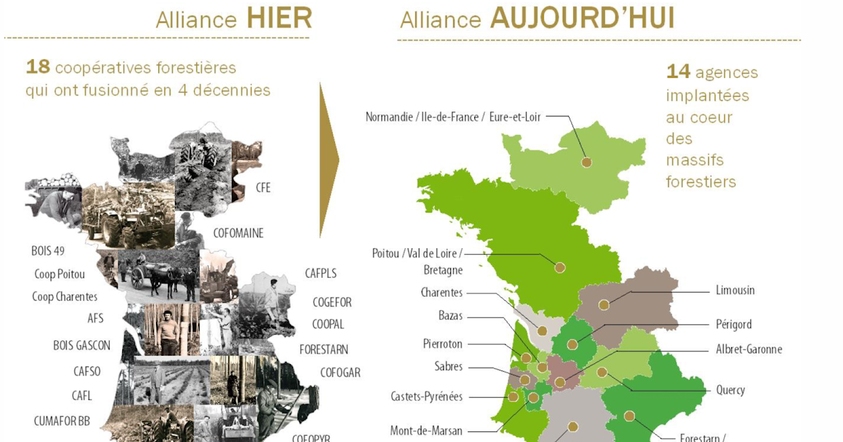 Alliance Forêts Bois - 1ère coopérative forestière de France