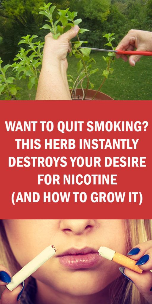 Want To Quit Smoking? This Herb Instantly Destroys Your Desire For