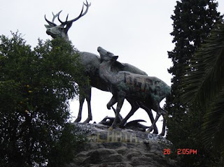 Familia de ciervos en el 2009.Vandalizados con pintura en Palermo.