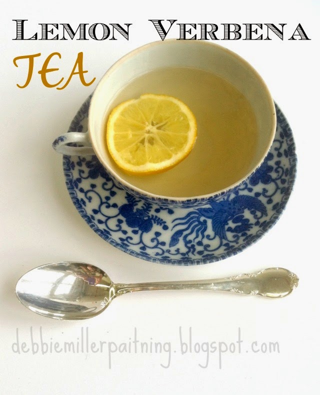 Make your own dried lemon verbena tea