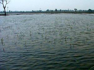 malout weather, malout pin code,muktsar weather, weather in muktsar, muktsar pin code, muktsar weather today, muktsar sahib, muktsar punjab, muktsar in punjab, synopsis architecture,synopsis format, synopsis format example, thesis synopsis format for architecture, synopsis format for case study, how to write synopsis for thesis, title of synopsis, synopsis format for minor project, importance of synopsis, synopsis of internship report, synopsis example, how to write a synopsis, what is synopsis of a project, synopsis for internship project, malout-weather, malout-pin-code,muktsar-weather, weather-in-muktsar, muktsar-pin-code, muktsar-weather-today, muktsar-sahib, muktsar-punjab, muktsar-in-punjab, synopsis-architecture,synopsis-format,-synopsis-format-example,-thesis-synopsis-format-for-architecture,-synopsis-format-for-case-study,-how-to-write-synopsis-for-thesis,-title-of-synopsis,-synopsis-format-for-minor-project,-importance-of-synopsis,-synopsis-of-internship-report,-synopsis-example,-how-to-write-a-synopsis,-what-is-synopsis-of-a-project,-synopsis-for-internship-project,Architecture-Thesis-Synopsis-Format,Architecture-Thesis-Synopsis,Thesis-Synopsis,CAMPUS-DESIGN-Thesis-Synopsis,COLLEGE-THESIS-Synopsis,