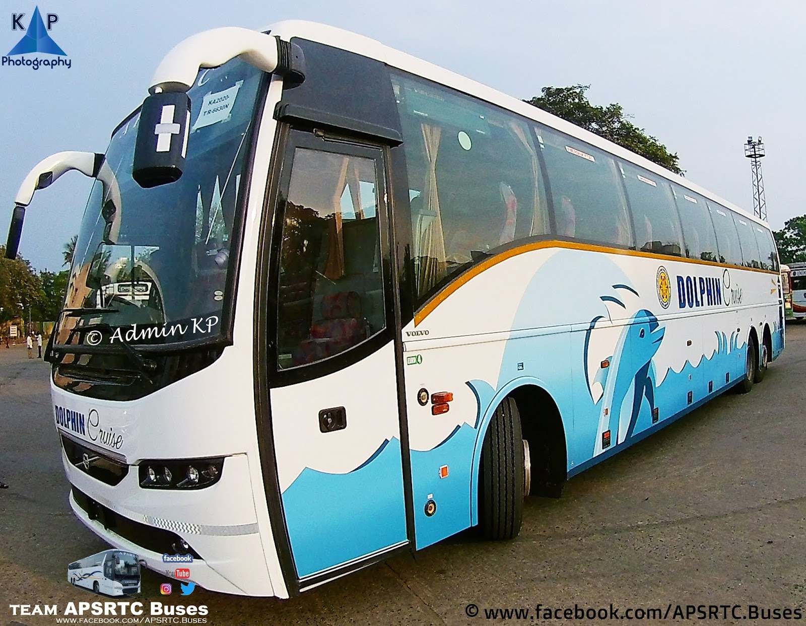 dolphin cruise bus seats