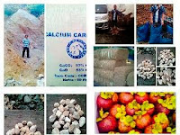 Buah Manggis kwalitas export Sumatera Barat, CV Prima jaya niaga Buah Manggis kwalitas export Sumatera Barat, CV Prima jaya niaga