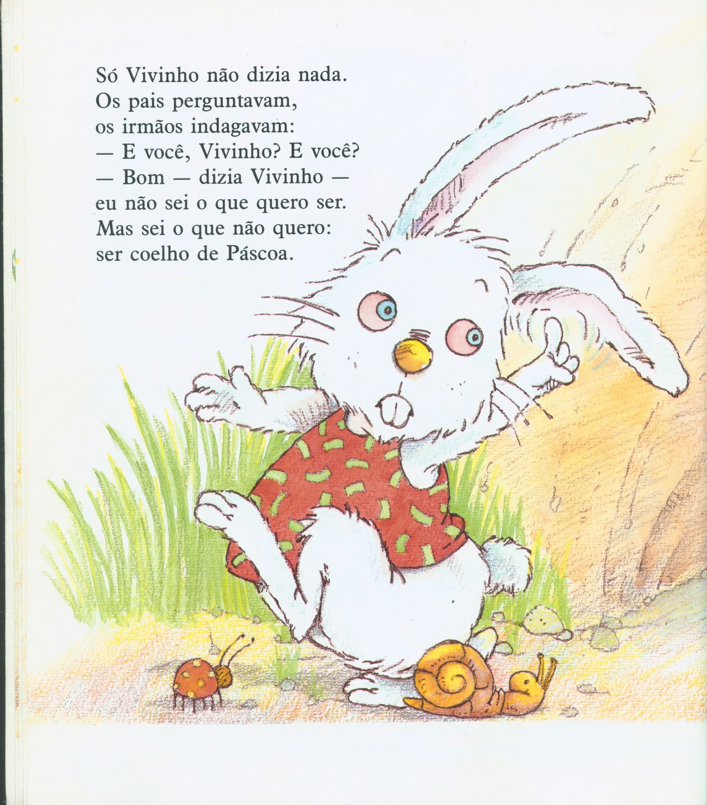 Moral Da História O Coelhinho Que