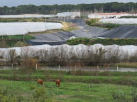 Huelva, Doñana, WWF, 