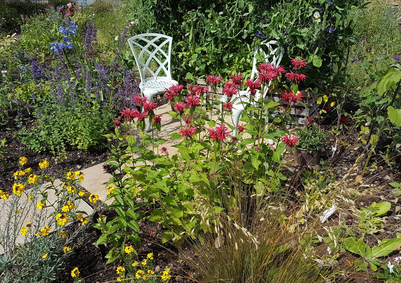 Creating the Herb Garden and Scented Garden