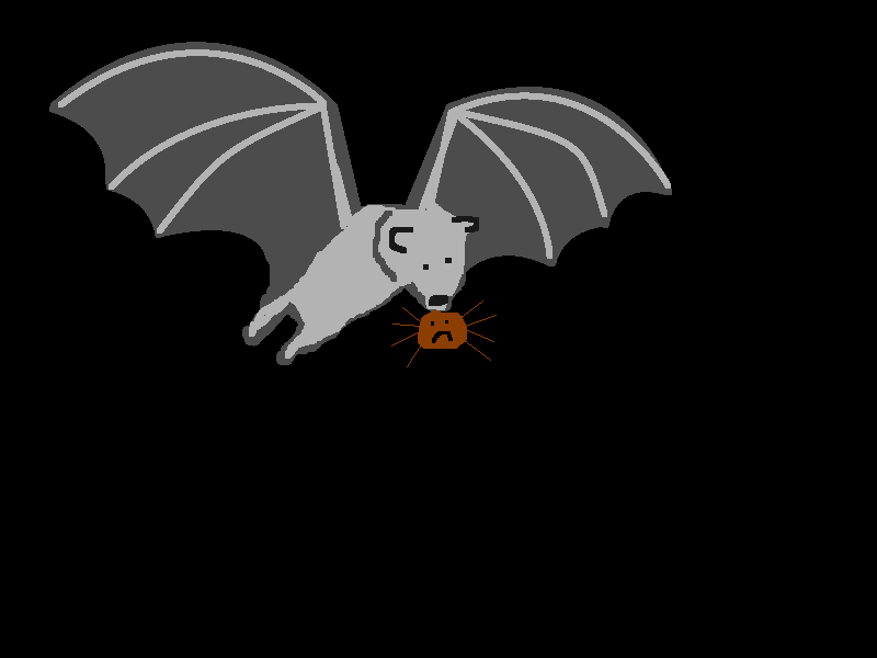 Spitting Off the Balcony Educational Song