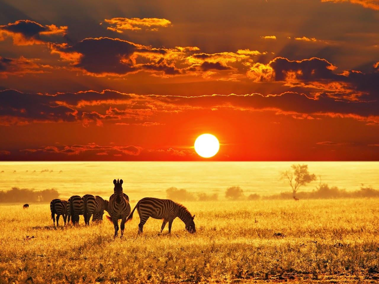 Africa - Las Mejores Fotografías del Mundo