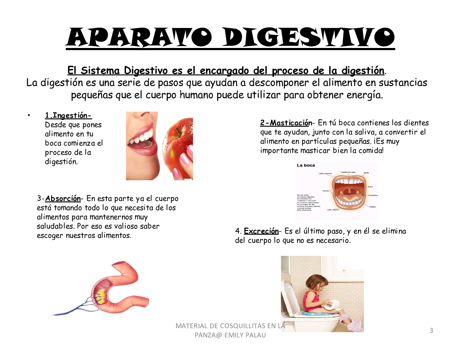 Alimentos buenos para el aparato digestivo