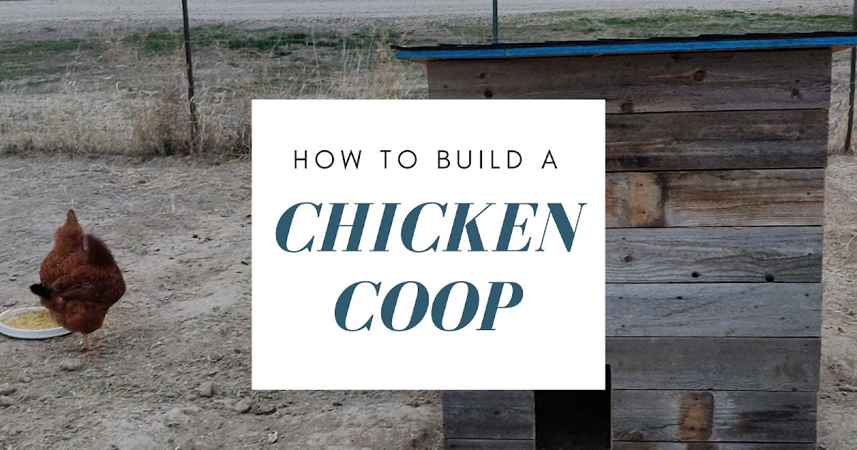 Easy Chicken Coop from Old Pallets and Wood Fencing