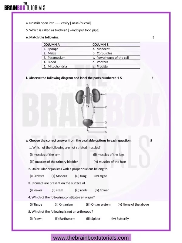 icse-class-7-biology-sample-paper