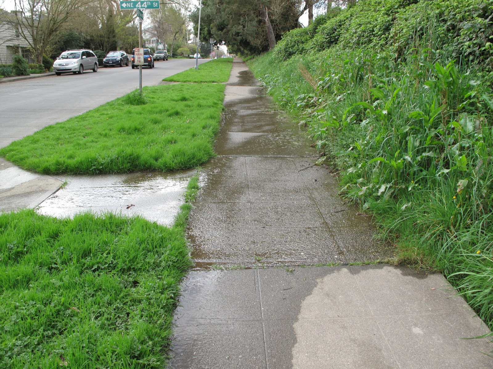 Laurelhurst Blog Why Is 48th Avenue NE Sidewalk On East Side Of Park Constantly Wet?