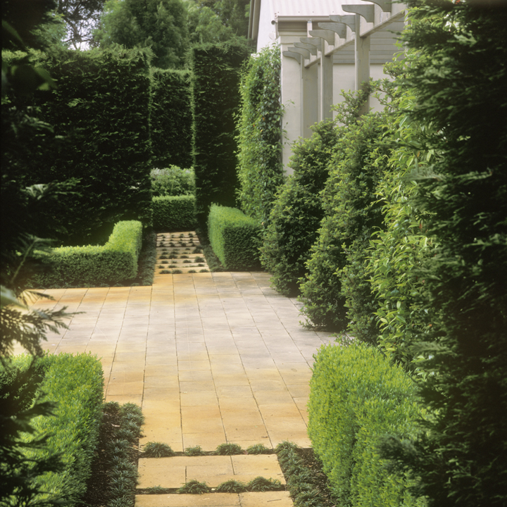 a curious gardener garden designer Peter Fudge